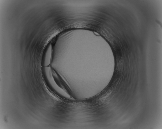 X0000097660530200803280953