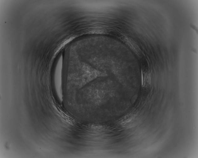 X0000097660531200803280953