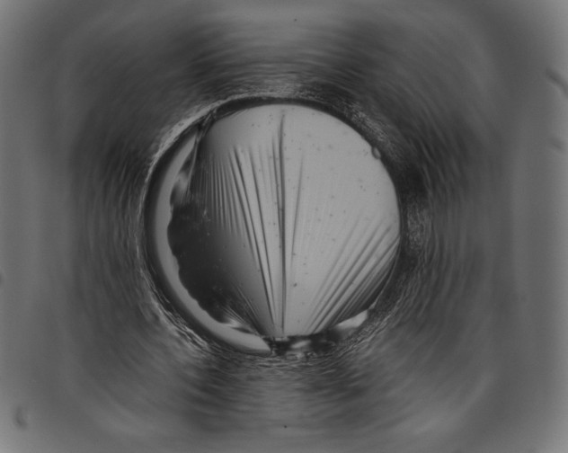 X0000097660532200803280953