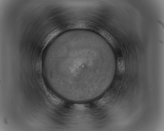 X0000097660534200803280953