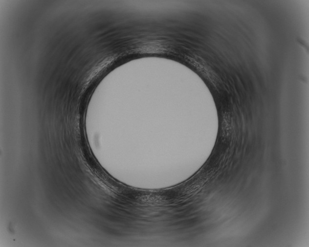 X0000097660535200803280953