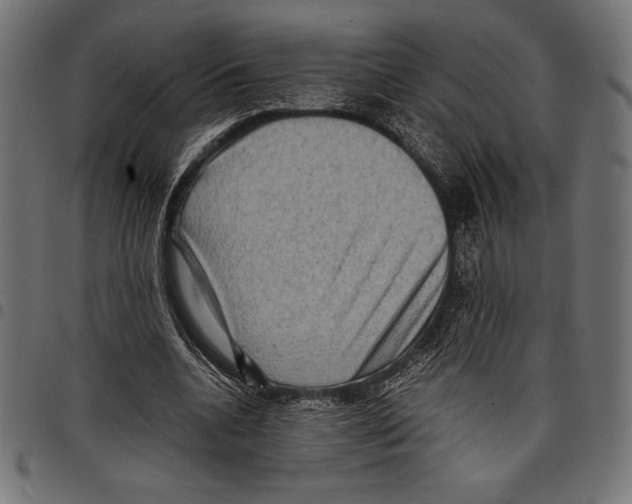 X0000097660536200803280953