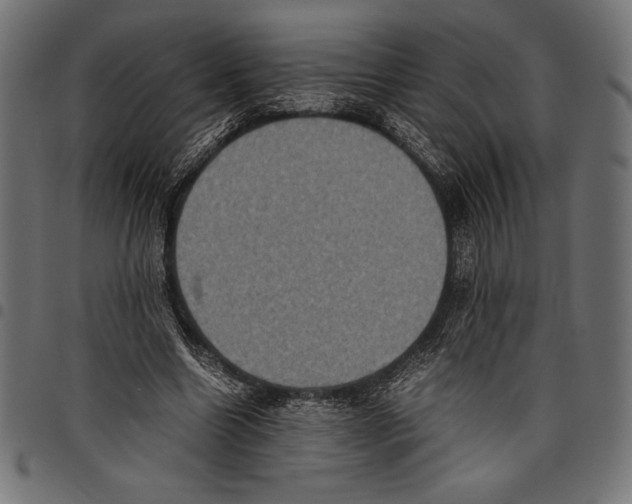 X0000097660538200803280953
