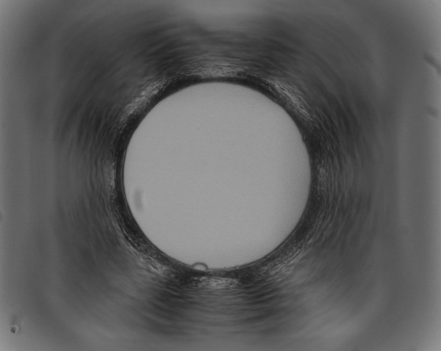 X0000097660539200803280953
