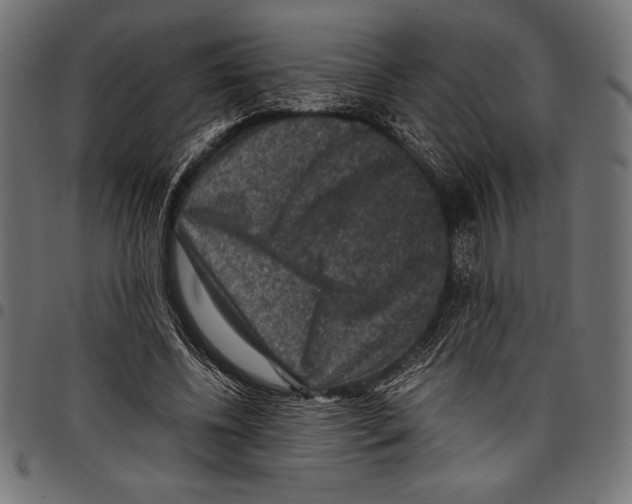 X0000097660540200803280953
