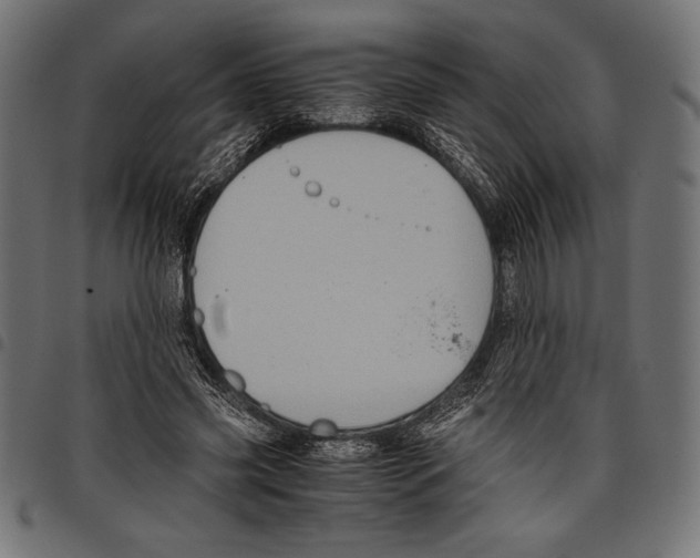 X0000097660541200803280953