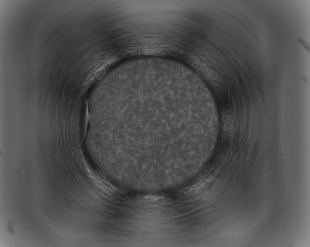 X0000097660542200803280953