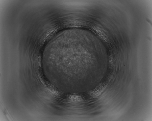 X0000097660547200803280953