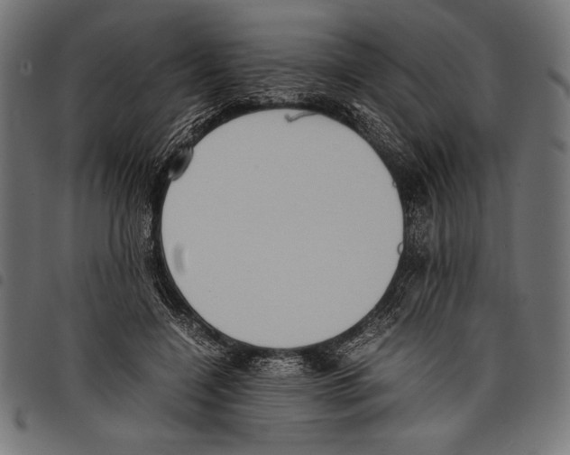 X0000097660548200803280953