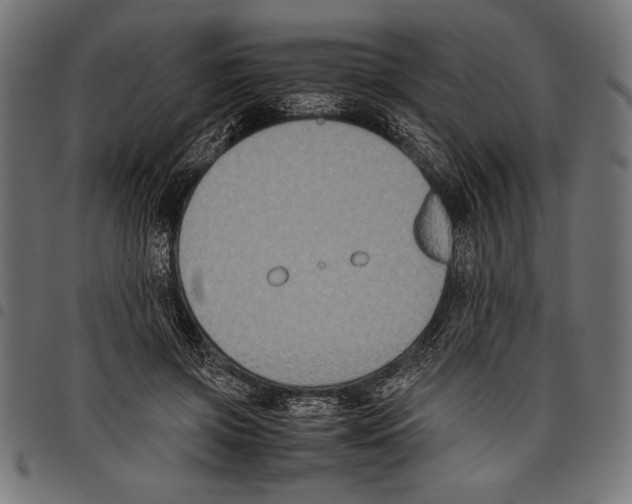 X0000097660549200803280953
