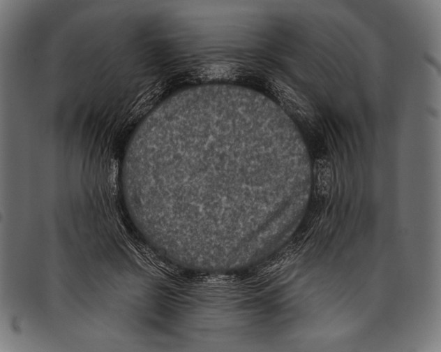 X0000097660550200803280953