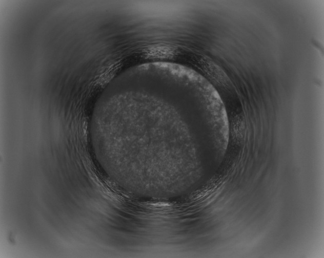 X0000097660551200803280953