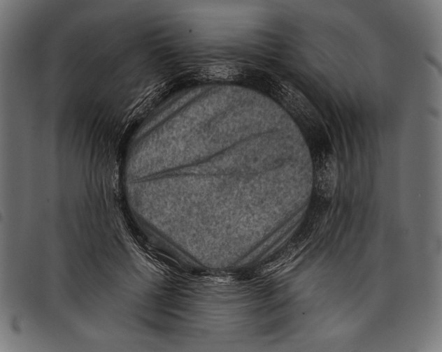 X0000097660552200803280953