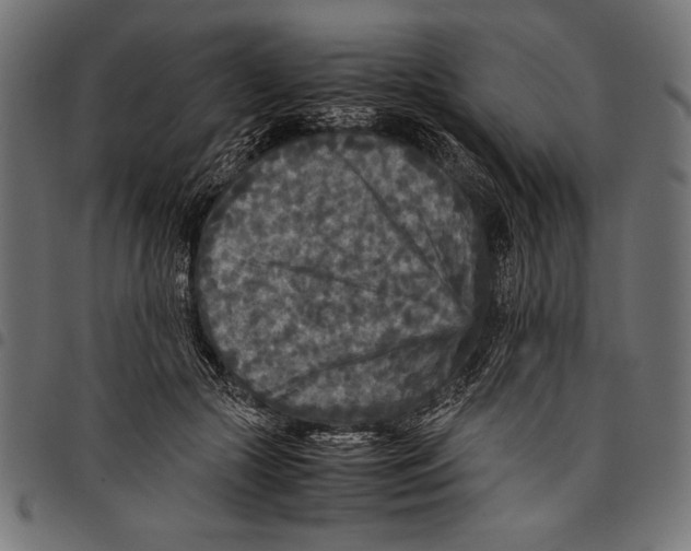 X0000097660553200803280953