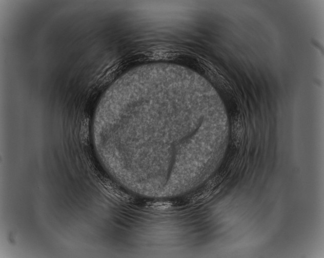 X0000097660554200803280953