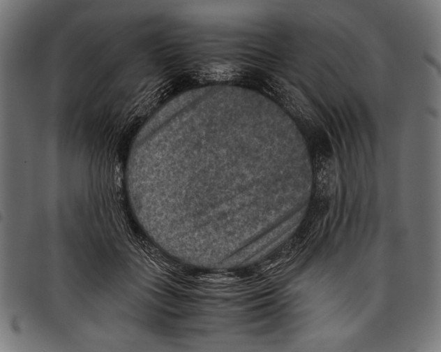 X0000097660555200803280953