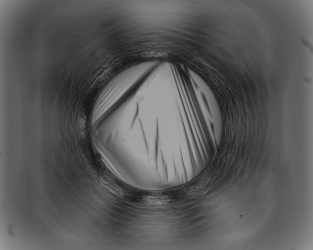 X0000097660556200803280953