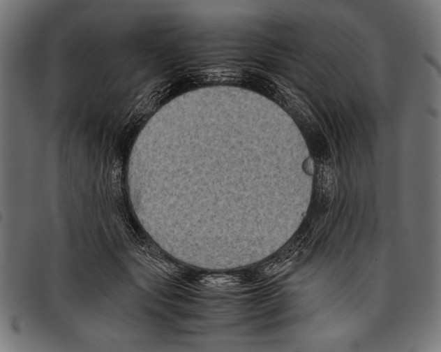 X0000097660557200803280953