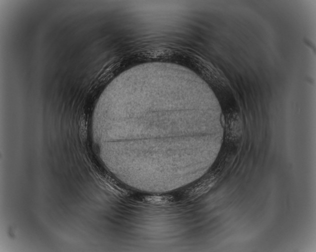 X0000097660558200803280953