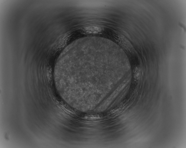 X0000097660559200803280953