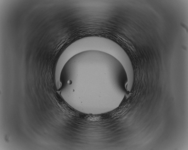 X0000097660560200803280953