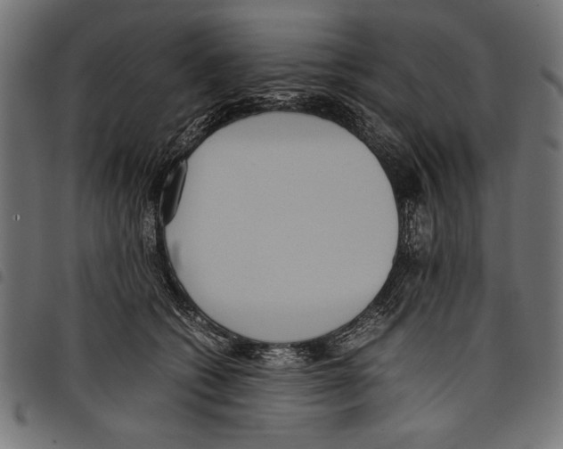X0000097660562200803280953