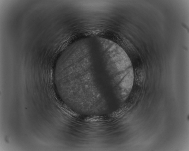 X0000097660563200803280953