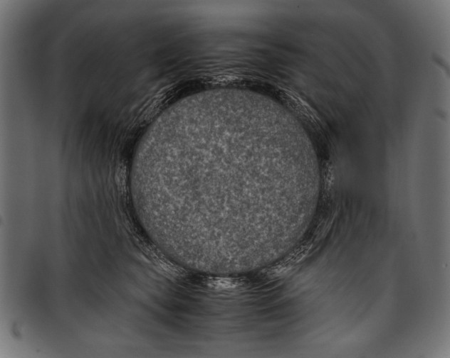 X0000097660565200803280953