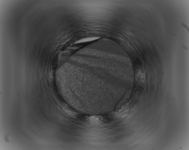 X0000097660566200803280953