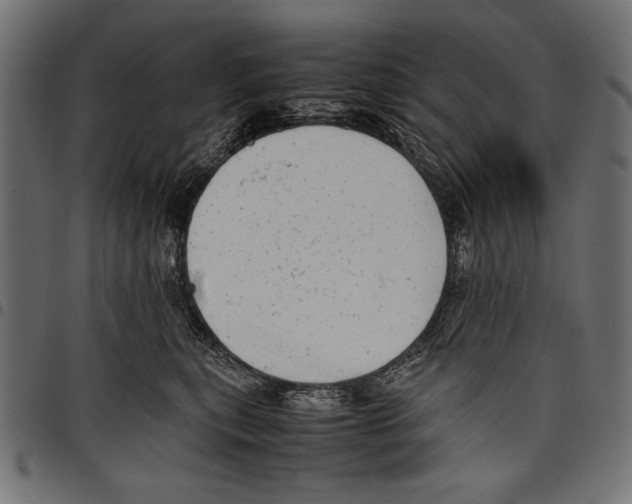 X0000097660567200803280953