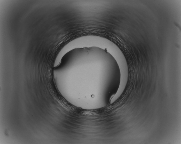 X0000097660568200803280953