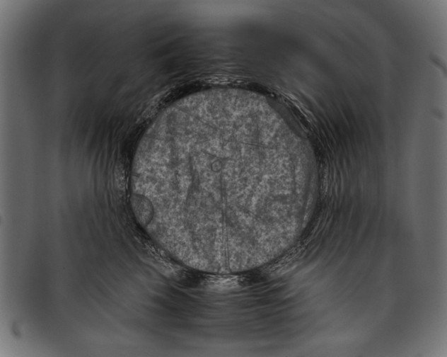 X0000097660569200803280953