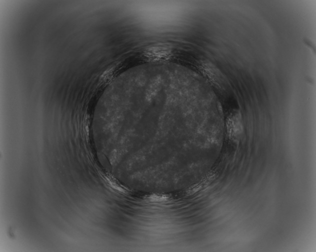 X0000097660570200803280953