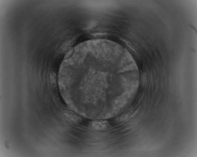 X0000097660571200803280953