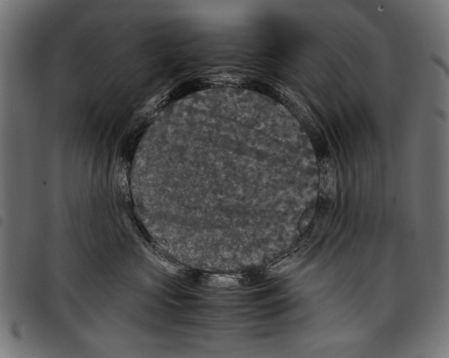 X0000097660573200803280953