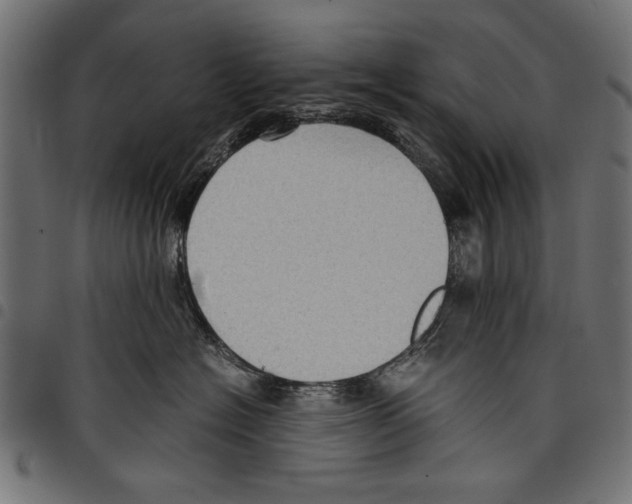 X0000097660574200803280953