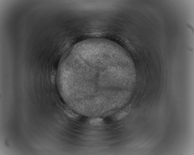 X0000097660576200803280953