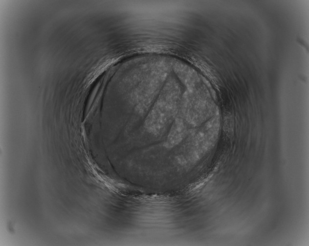X0000097660577200803280953