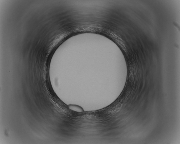 X0000097660578200803280953