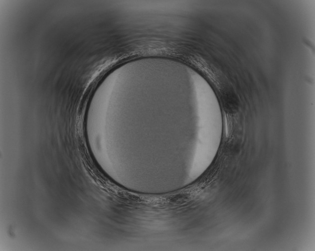 X0000097660579200803280953