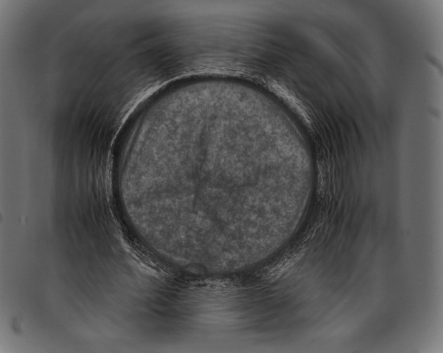 X0000097660580200803280953