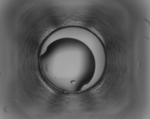 X0000097660581200803280953