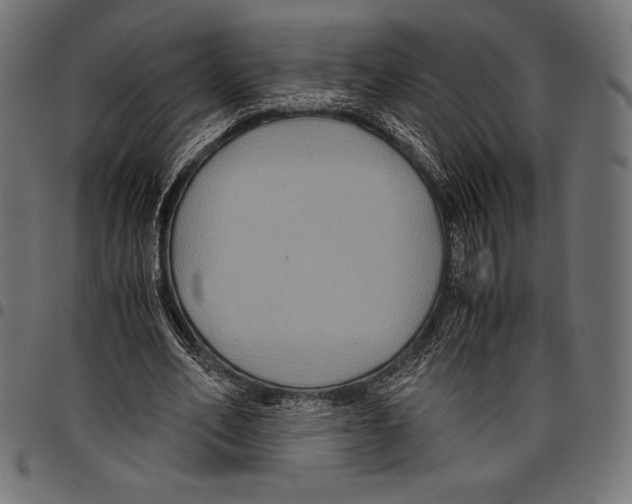 X0000097660582200803280953