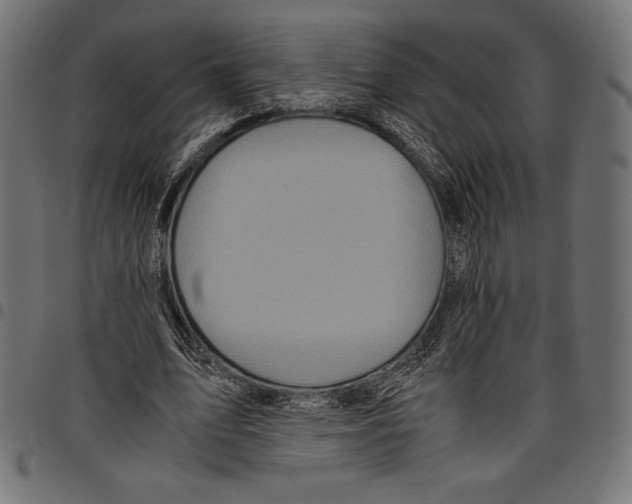X0000097660583200803280953