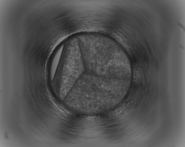 X0000097660584200803280953
