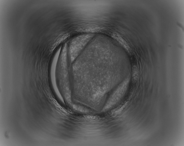 X0000097660585200803280953