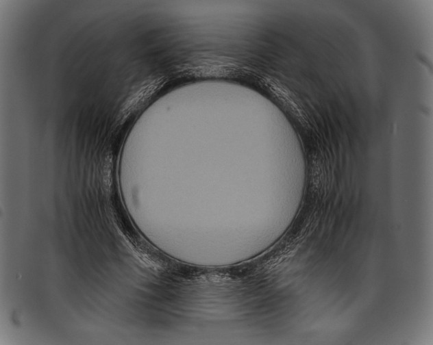 X0000097660586200803280953