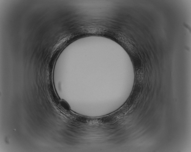 X0000097660587200803280953