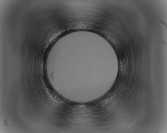 X0000097660588200803280953