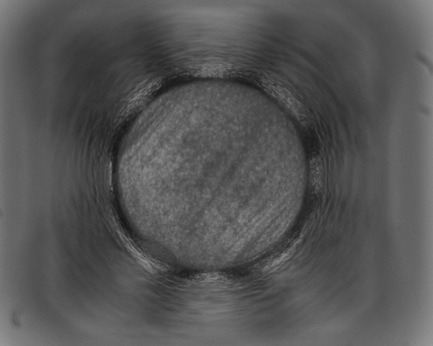 X0000097660589200803280953